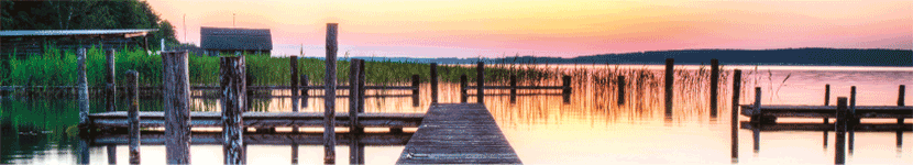 Rechtsanwältin Elisabeth Baus